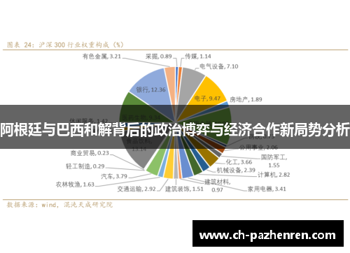 阿根廷与巴西和解背后的政治博弈与经济合作新局势分析