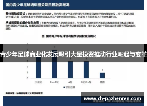 青少年足球商业化发展吸引大量投资推动行业崛起与变革